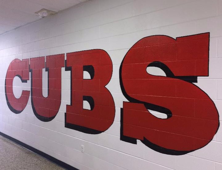 Cubs Wall