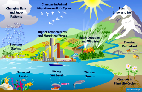 Opinion: Global Warming Should No Longer Be Ignored