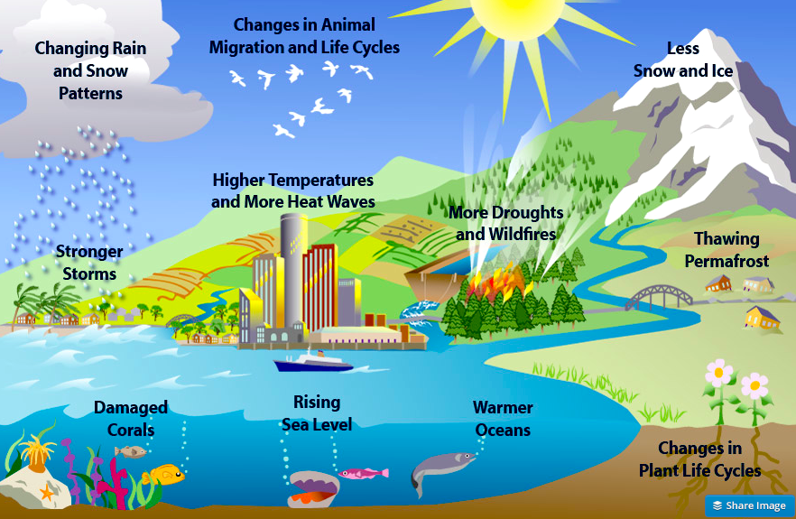 global warming effects