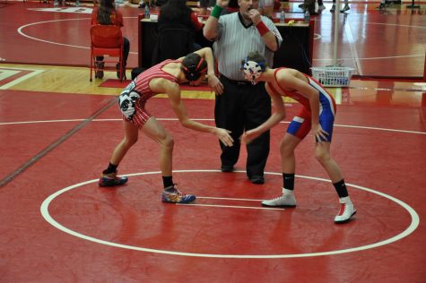 Cubs Wrestlers Bow Out Gracefully After Semi-state Defeats
