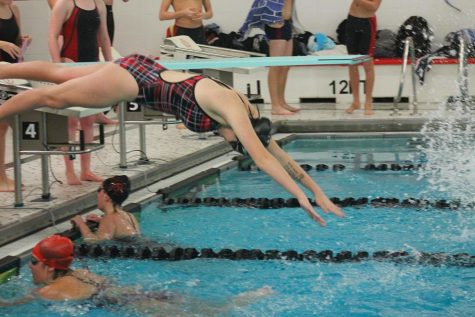 Lady Cubs Swimmers Perform Admirably at Sectionals