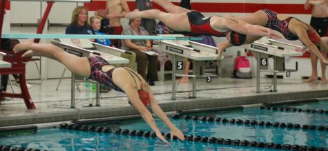 MCHS Wrestling and Swimming Previews