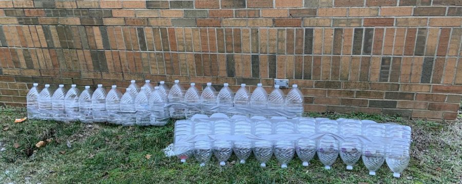 A group of plastic bottles for the MCHS Select Place conservation project.