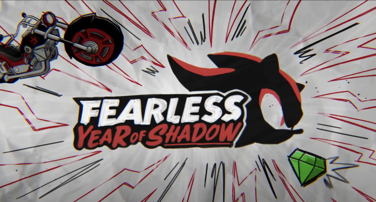 Beyond the Hedgehog: Shadow's Fearless Year